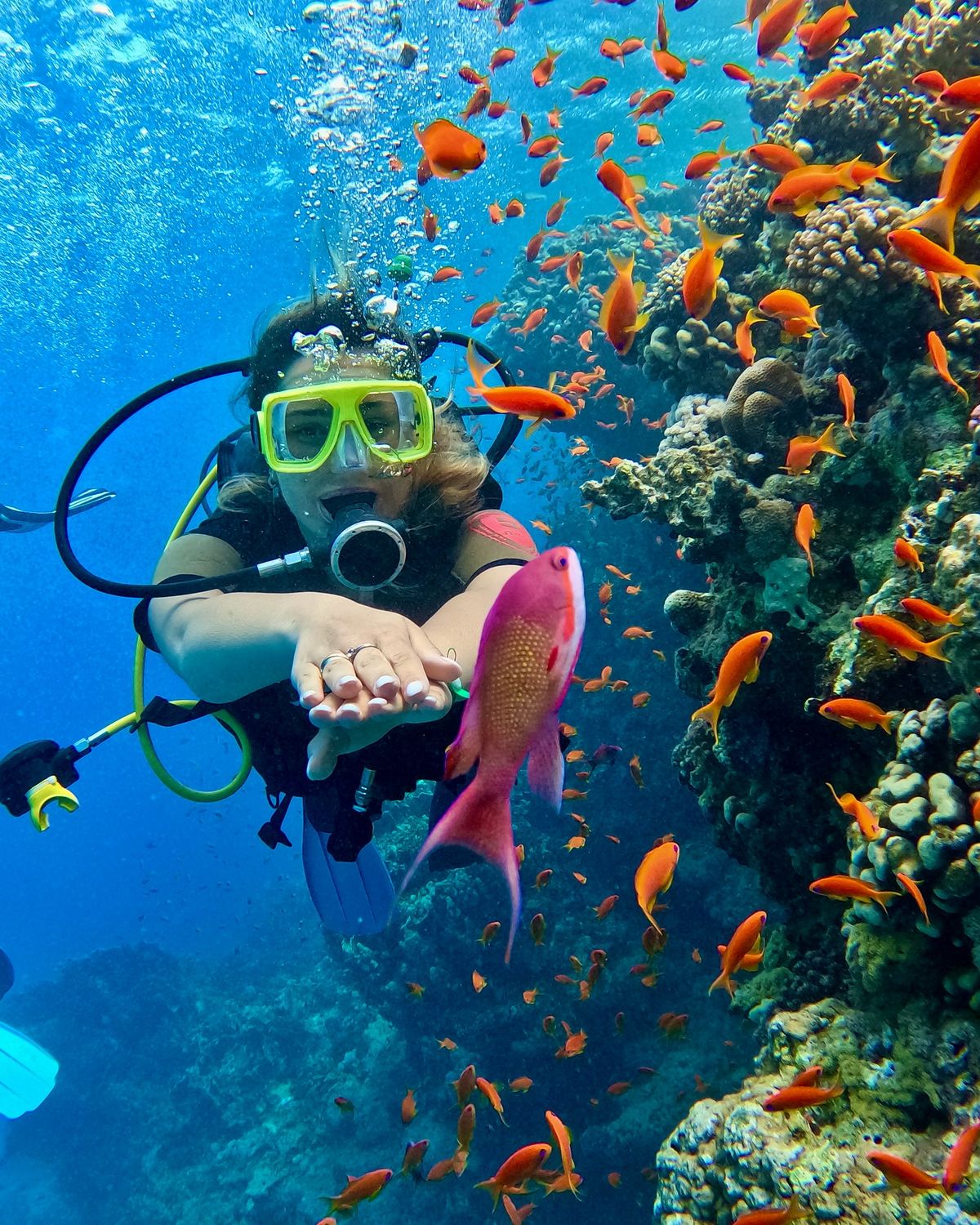 Travel Benefits